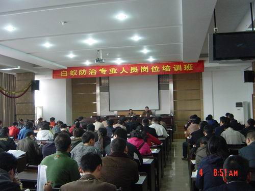 白蟻行業(yè)信息